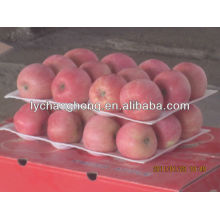 2013 new crop Yantai fuji apple for sale